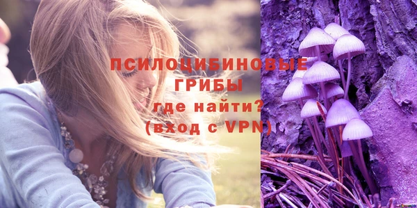 прущая мука Бежецк