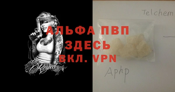 молекула духа Ельня