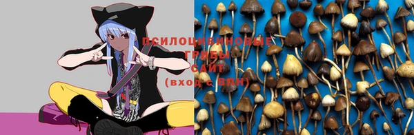 MDMA Premium VHQ Дмитров