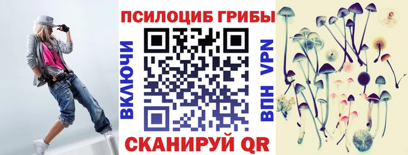 Галлюциногенные грибы Psilocybine cubensis  где купить наркотик  Буинск 